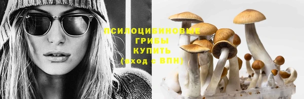 гидра Вяземский