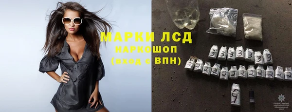 гидра Вяземский
