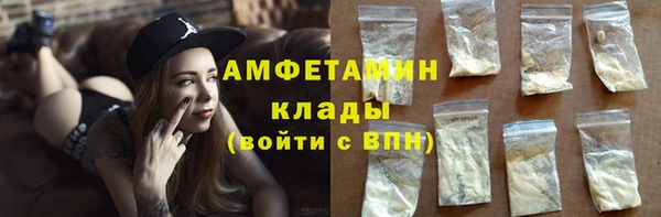 гидра Вяземский