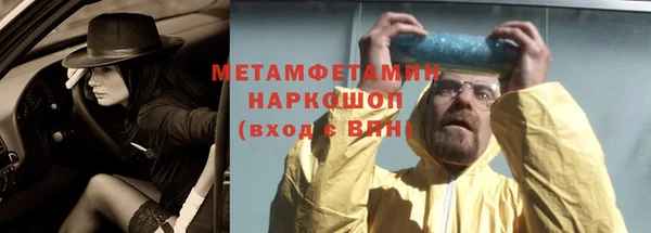 гидра Вяземский
