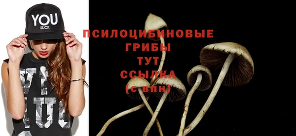 гидра Вяземский