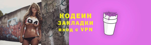 гидра Вяземский