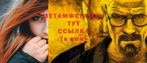 гидра Вяземский