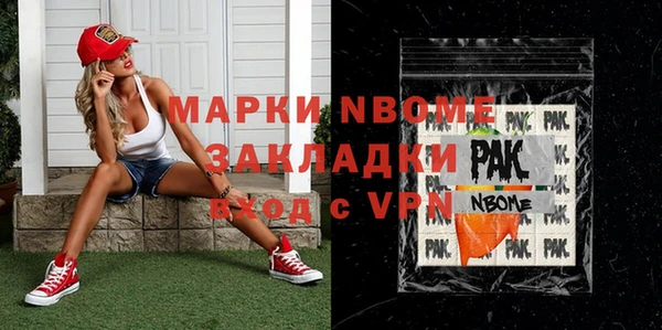 гидра Вяземский