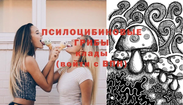 соль ск Вязники