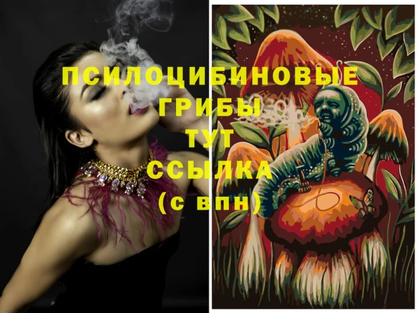 соль ск Вязники