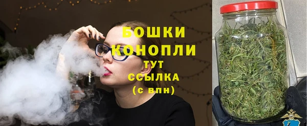 гидра Вяземский