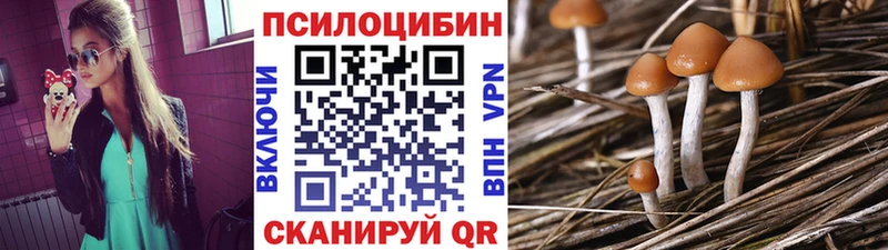 darknet наркотические препараты мега ссылка Армавир Псилоцибиновые грибы Psilocybe